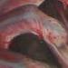 Art Galleries - Transformation - 55206